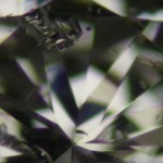 DSCN7451
