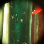 inclusione bifase in smeraldo Colombiano